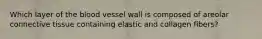 Which layer of the blood vessel wall is composed of areolar connective tissue containing elastic and collagen fibers?