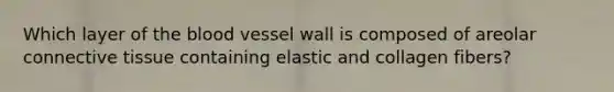 Which layer of <a href='https://www.questionai.com/knowledge/k7oXMfj7lk-the-blood' class='anchor-knowledge'>the blood</a> vessel wall is composed of areolar <a href='https://www.questionai.com/knowledge/kYDr0DHyc8-connective-tissue' class='anchor-knowledge'>connective tissue</a> containing elastic and collagen fibers?