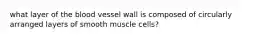 what layer of the blood vessel wall is composed of circularly arranged layers of smooth muscle cells?