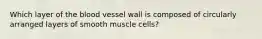 Which layer of the blood vessel wall is composed of circularly arranged layers of smooth muscle cells?