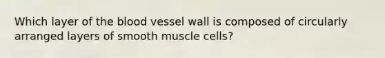 Which layer of the blood vessel wall is composed of circularly arranged layers of smooth muscle cells?