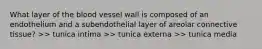 What layer of the blood vessel wall is composed of an endothelium and a subendothelial layer of areolar connective tissue? >> tunica intima >> tunica externa >> tunica media