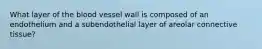 What layer of the blood vessel wall is composed of an endothelium and a subendothelial layer of areolar connective tissue?