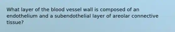 What layer of the blood vessel wall is composed of an endothelium and a subendothelial layer of areolar connective tissue?