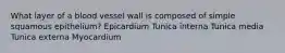 What layer of a blood vessel wall is composed of simple squamous epithelium? Epicardium Tunica interna Tunica media Tunica externa Myocardium