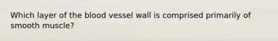 Which layer of the blood vessel wall is comprised primarily of smooth muscle?