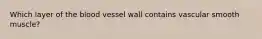 Which layer of the blood vessel wall contains vascular smooth muscle?