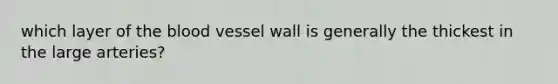 which layer of the blood vessel wall is generally the thickest in the large arteries?