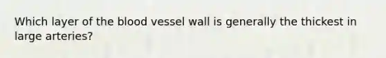 Which layer of the blood vessel wall is generally the thickest in large arteries?