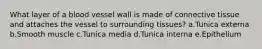What layer of a blood vessel wall is made of connective tissue and attaches the vessel to surrounding tissues? a.Tunica externa b.Smooth muscle c.Tunica media d.Tunica interna e.Epithelium