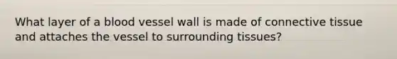 What layer of a blood vessel wall is made of <a href='https://www.questionai.com/knowledge/kYDr0DHyc8-connective-tissue' class='anchor-knowledge'>connective tissue</a> and attaches the vessel to surrounding tissues?