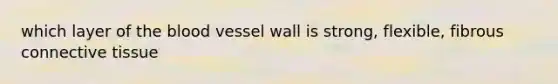 which layer of the blood vessel wall is strong, flexible, fibrous connective tissue