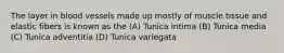 The layer in blood vessels made up mostly of muscle tissue and elastic fibers is known as the (A) Tunica intima (B) Tunica media (C) Tunica adventitia (D) Tunica variegata