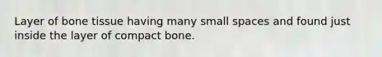 Layer of bone tissue having many small spaces and found just inside the layer of compact bone.