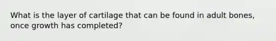 What is the layer of cartilage that can be found in adult bones, once growth has completed?