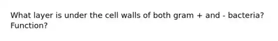 What layer is under the cell walls of both gram + and - bacteria? Function?