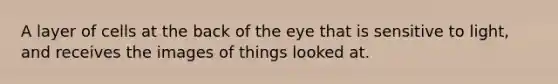 A layer of cells at the back of the eye that is sensitive to light, and receives the images of things looked at.