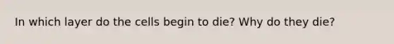 In which layer do the cells begin to die? Why do they die?