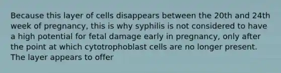 Because this layer of cells disappears between the 20th and 24th week of pregnancy, this is why syphilis is not considered to have a high potential for fetal damage early in pregnancy, only after the point at which cytotrophoblast cells are no longer present. The layer appears to offer