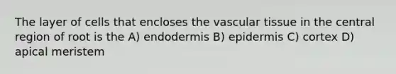 The layer of cells that encloses the <a href='https://www.questionai.com/knowledge/k1HVFq17mo-vascular-tissue' class='anchor-knowledge'>vascular tissue</a> in the central region of root is the A) endodermis B) epidermis C) cortex D) apical meristem