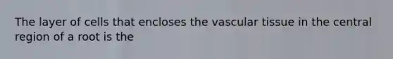 The layer of cells that encloses the vascular tissue in the central region of a root is the