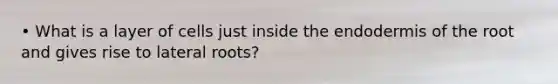 • What is a layer of cells just inside the endodermis of the root and gives rise to lateral roots?