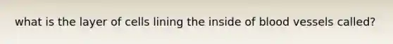 what is the layer of cells lining the inside of blood vessels called?