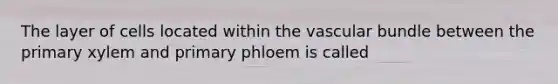 The layer of cells located within the vascular bundle between the primary xylem and primary phloem is called