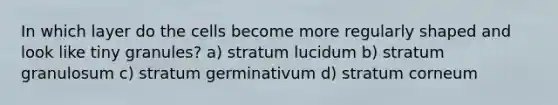 In which layer do the cells become more regularly shaped and look like tiny granules? a) stratum lucidum b) stratum granulosum c) stratum germinativum d) stratum corneum