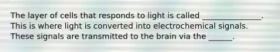 The layer of cells that responds to light is called _______________. This is where light is converted into electrochemical signals. These signals are transmitted to the brain via the ______.