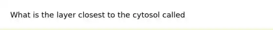 What is the layer closest to the cytosol called