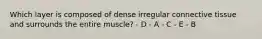 Which layer is composed of dense irregular connective tissue and surrounds the entire muscle? - D - A - C - E - B