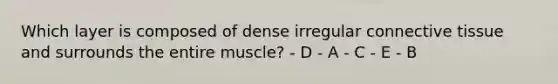 Which layer is composed of dense irregular connective tissue and surrounds the entire muscle? - D - A - C - E - B