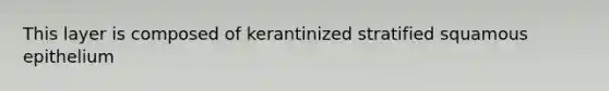 This layer is composed of kerantinized stratified squamous epithelium