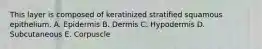 This layer is composed of keratinized stratified squamous epithelium. A. Epidermis B. Dermis C. Hypodermis D. Subcutaneous E. Corpuscle