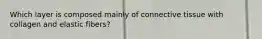Which layer is composed mainly of connective tissue with collagen and elastic fibers?