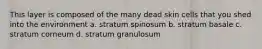 This layer is composed of the many dead skin cells that you shed into the environment a. stratum spinosum b. stratum basale c. stratum corneum d. stratum granulosum