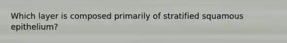 Which layer is composed primarily of stratified squamous epithelium?
