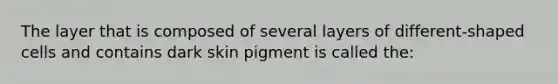 The layer that is composed of several layers of different-shaped cells and contains dark skin pigment is called the: