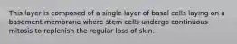 This layer is composed of a single layer of basal cells laying on a basement membrane where stem cells undergo continuous mitosis to replenish the regular loss of skin.