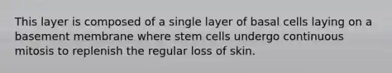 This layer is composed of a single layer of basal cells laying on a basement membrane where stem cells undergo continuous mitosis to replenish the regular loss of skin.