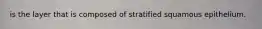 is the layer that is composed of stratified squamous epithelium.