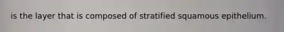 is the layer that is composed of stratified squamous epithelium.