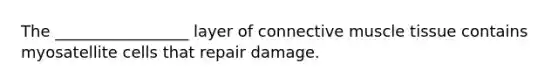 The _________________ layer of connective muscle tissue contains myosatellite cells that repair damage.