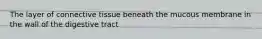 The layer of connective tissue beneath the mucous membrane in the wall of the digestive tract