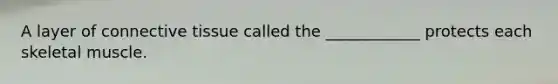A layer of connective tissue called the ____________ protects each skeletal muscle.