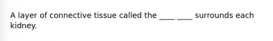 A layer of connective tissue called the ____ ____ surrounds each kidney.