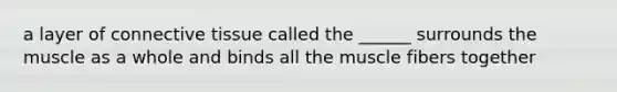a layer of connective tissue called the ______ surrounds the muscle as a whole and binds all the muscle fibers together