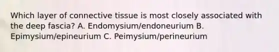 Which layer of connective tissue is most closely associated with the deep fascia? A. Endomysium/endoneurium B. Epimysium/epineurium C. Peimysium/perineurium