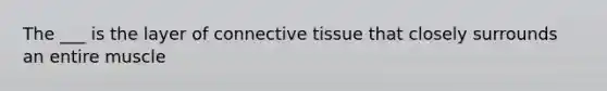 The ___ is the layer of connective tissue that closely surrounds an entire muscle